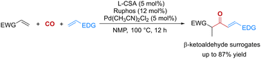 Graphical abstract: Palladium-catalyzed hydrocarbonylative cross-coupling with two different alkenes