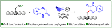 Graphical abstract: Visible-light-mediated C–S bond activation in cysteine derivatives with quinoxalinones for the synthesis of heteroaryl amino acids