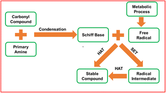 Graphical abstract: Antioxidant activity of Schiff base ligands using the DPPH scavenging assay: an updated review