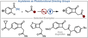 Graphical abstract: Benzocyclobutenone synthesis exploiting acylsilanes as photofunctional directing groups