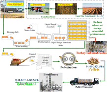 Graphical abstract: Technoeconomic analysis of an integrated camelina straw-based pellet and ethanol production system