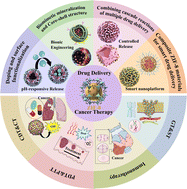 Graphical abstract: Functionalized ZIF-8 as a versatile platform for drug delivery and cancer therapy: strategies, challenges and prospects