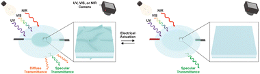 Graphical abstract: Scalable, rapid, and predictable ultraviolet-visible-near-infrared camouflage systems inspired by squid skin