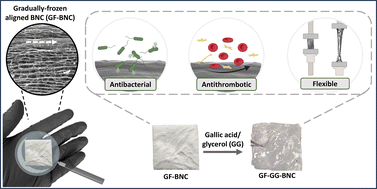 Graphical abstract: Gradually-frozen aligned bacterial nanocellulose membranes loaded with gallic acid exhibit enhanced mechanical and dual antithrombotic-antimicrobial properties