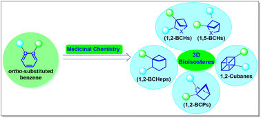 Graphical abstract: Recent advances in bridged structures as 3D bioisosteres of ortho-phenyl rings in medicinal chemistry applications