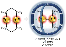 Graphical abstract: Confinement-supported aurophilic interaction
