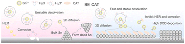 Graphical abstract: Catechol-facilitated Sn2+ transport enables ultrahigh utilization rate of aqueous metallic tin anodes