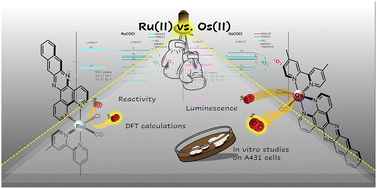 Graphical abstract: Ruthenium or osmium? On the role of the metal in carbonylchlorido complexes for photodynamic therapy