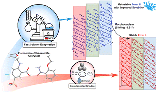 Graphical abstract: Seeking new polymorphs in pharmaceutical cocrystals: focus on furosemide–ethenzamide