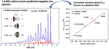 Graphical abstract: Benzoquinone, 1,4-naphthoquinone radical anions, and their didehydro derivatives: electroanalytical and predicted negative ion photoelectron spectroscopic studies