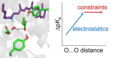 Graphical abstract: Determinants of hydrogen bond distances in proteins