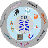 Graphical abstract: Chirality-induced spin selectivity: an interdisciplinary perspective from chemical physics to biology