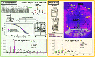 Graphical abstract: Diaterpenylic acid acetate (DTAA): characterization and OH oxidation in atmospheric chambers