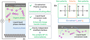 Graphical abstract: Polarity coupling in biphasic electrolytes enables iodine/polyiodide co-extraction for portable Zn–iodine batteries following a liquid–liquid conversion route