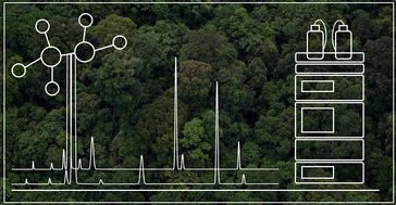 Graphical abstract: Utilisation of Analytical Method Greenness Score to drive sustainable chromatographic method development