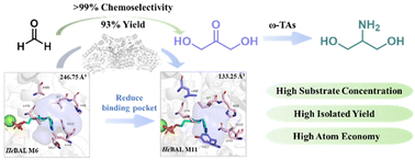 Graphical abstract: Structure-guided engineering of benzaldehyde lyase for efficient synthesis of dihydroxyacetone and one-pot biosynthesis of 2-amino-1,3-propanediol