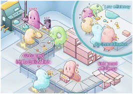 Graphical abstract: Boosting multi-enzyme cascade activity for glucose biosynthesis by kinetics-oriented grouped immobilization