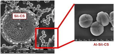 Graphical abstract: Biogenic transformation of marine diatoms into MFI-type aluminosilicate catalytic interfaces for selective etherification