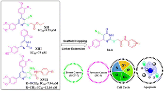 Graphical abstract: Unravelling the potency of the 4-oxo-2-thioxo-1,2,3,4-tetrahydropyrimidine-5-carbonitrile scaffold with S-arylamide hybrids as PIM-1 kinase inhibitors: synthesis, biological activity and in silico studies