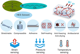 Graphical abstract: Hydrophobic deep eutectic solvent-based eutectogels for long-term humidity resistance and multifunctional sensing