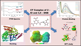 Graphical abstract: Spectrophotometric and computational insights into the 2-ethylimidazole–3,5-dinitrobenzoic acid complex: BSA interaction and antimicrobial activity