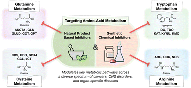 Graphical abstract: Natural products targeting the metabolism of amino acids: from discovery to synthetic development