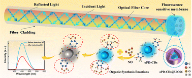 Graphical abstract: A new optical fiber sensor based on the CDs@UiO66 complex fluorescence probe for nitric oxide detection