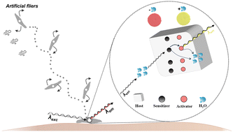 Graphical abstract: Sensing relative humidity with a fluorescent seed-like biodegradable flier