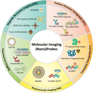 Graphical abstract: Molecular imaging using (nano)probes: cutting-edge developments and clinical challenges in diagnostics