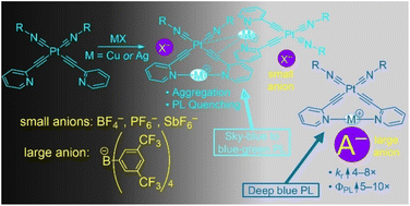 Graphical abstract: Enhanced blue phosphorescence in platinum acetylide complexes via a secondary heavy metal and anion-controlled aggregation
