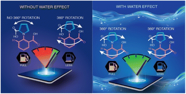 Graphical abstract: The critical helping hand of water: theory shows the way to obtain elusive, granular information about kinetic asymmetry driven systems