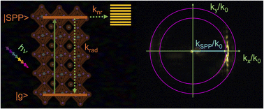 Graphical abstract: Energy transfer and radiation damping in gold–MAPbI3 heterostructures