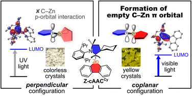 Graphical abstract: Zincafluorene complex with an empty C–Zn π orbital that captures visible light