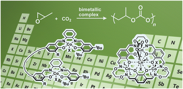 Graphical abstract: A reflection on ‘Bimetallic mechanism operating in the copolymerization of propylene oxide with carbon dioxide catalyzed by cobalt–salen complexes’