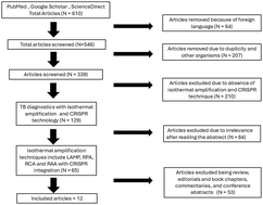 Graphical abstract: Exploring the diagnostic synergy of isothermal amplification-integrated CRISPR technology for tuberculosis: a systematic review