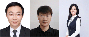 Graphical abstract: Introduction to “Lateral Flow Assays: Methods and Applications”