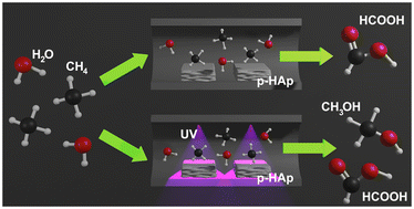 Graphical abstract: Sustainable oxidation of methane into formic acid using a polarized bioceramic under mild reaction conditions