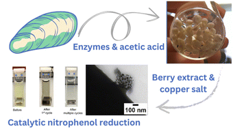 Graphical abstract: Modification of calcium carbonate from blue mussel shells with copper oxide nanoparticles