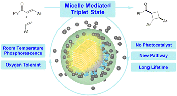 Graphical abstract: Long-lived room temperature phosphorescence in aqueous micellar systems: application in cyclobutane synthesis