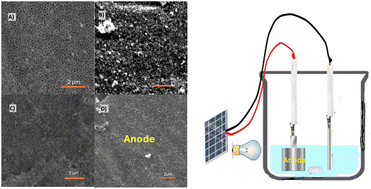 Graphical abstract: Tailoring TiO2 nanotubes with an iron-based MOF precursor for enhanced photoelectrochemical degradation of methyl red