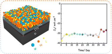 Graphical abstract: Effect of Ni–W–S electrocatalysts on the stability and electrochemical properties of photocathodes
