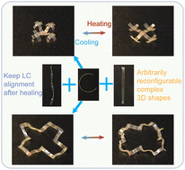 Graphical abstract: Welding complex-shaped actuators from dynamic liquid crystal elastomers