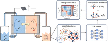 Graphical abstract: Understanding the precipitation mechanism in pentavalent vanadium electrolytes through deep learning potential molecular dynamics