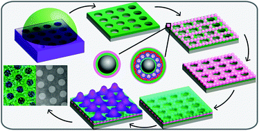 Graphical abstract: Interaction of cells with patterned reactors