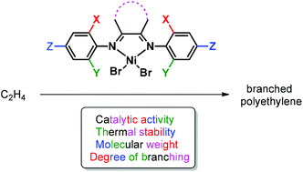 Graphical abstract: Ethylene polymerization of nickel catalysts with α-diimine ligands: factors controlling the structure of active species and polymer properties