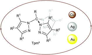 Graphical abstract: Group 11 tris(pyrazolyl)methane complexes: structural features and catalytic applications