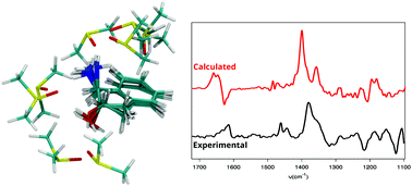 Graphical abstract: Assessing cluster models of solvation for the description of vibrational circular dichroism spectra: synergy between static and dynamic approaches