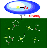 Graphical abstract: Transmetalation of boronic acids and their derivatives: mechanistic elucidation and relevance to catalysis