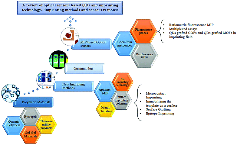 Graphical abstract: A review of the incorporation of QDs and imprinting technology in optical sensors – imprinting methods and sensing responses