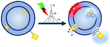 Graphical abstract: Plasmonic carriers responsive to pulsed laser irradiation: a review of mechanisms, design, and applications